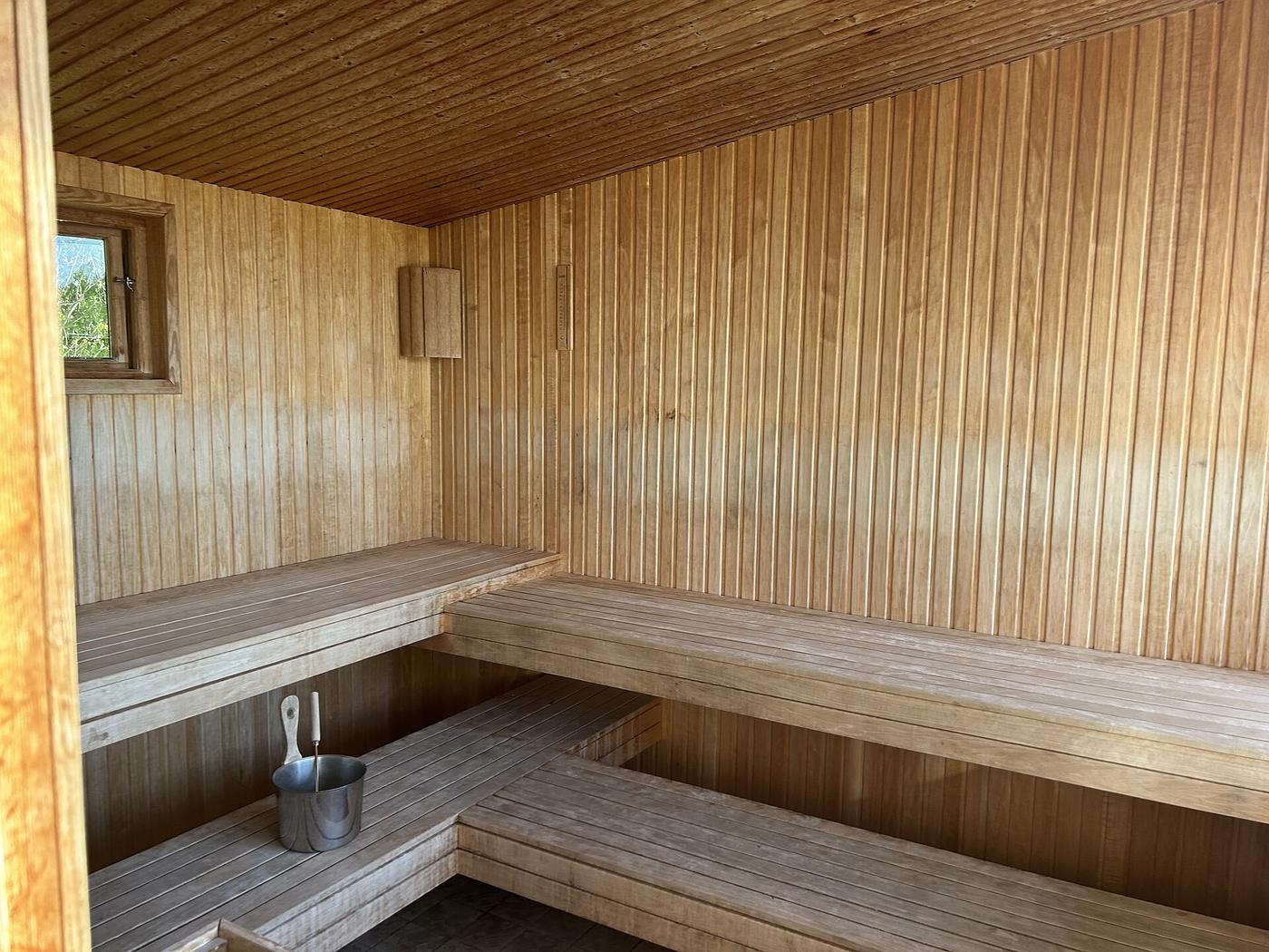 Sauna interior with pale wooden benches and panelling